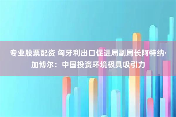 专业股票配资 匈牙利出口促进局副局长阿特纳·加博尔：中国投资环境极具吸引力